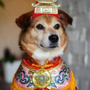 2026 Dog Horoscope Chinese Newyear