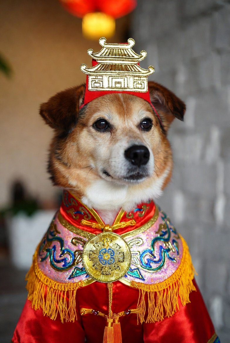 2026 Dog Horoscope Chinese Newyear