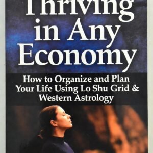 Thriving in Any Economy How to Organize and Plan Your Life Using Lo Shu Grid & Western Astrology Finding Peace Amidst Chaos and Challenging Times